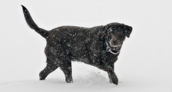 Libby likes the snow