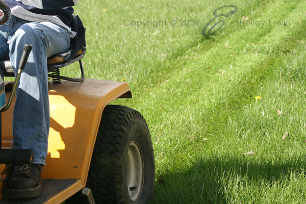 mow that grass