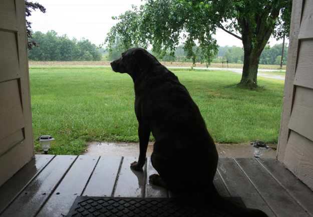 Libby checks out weather in the burg