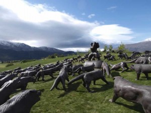 facebook friday - black wolves on the prowl