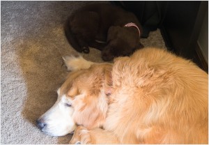 gracie is in charge of naps