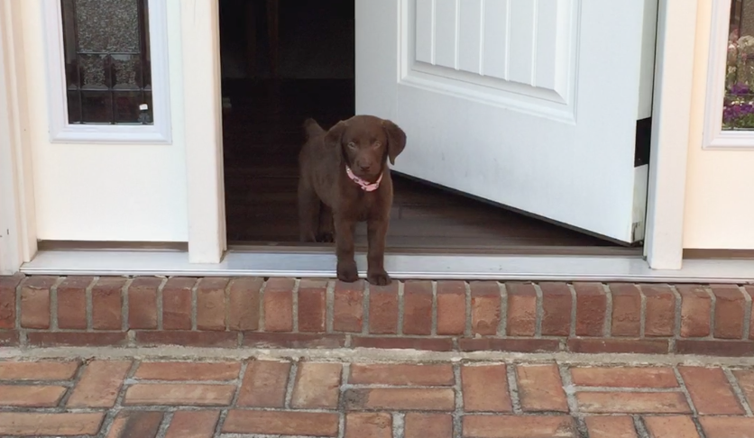 Facebook Friday and stuff you shouldn’t miss