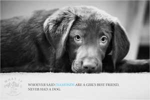 a girl's best friend
