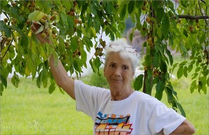 Shirley and persimmons