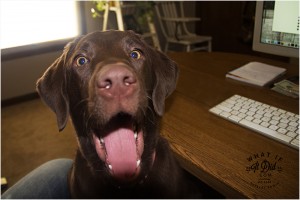 Number 1 workplace distraction