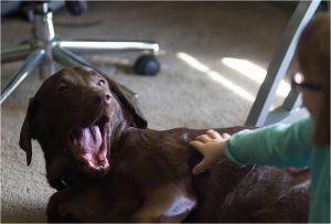 She's touching me, Mom!