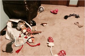 dharma is messy