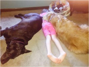 3 puppies