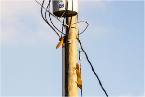 planning a disconnect