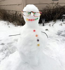 The Snowman (2017 film)