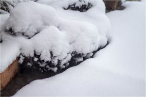 spring snow