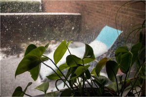 snow in spring