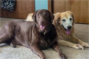 sister from another mister