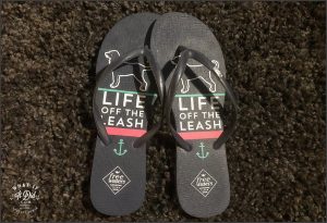 life off the leash