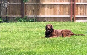 sun bathing