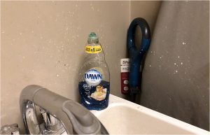 sloppy slop sink