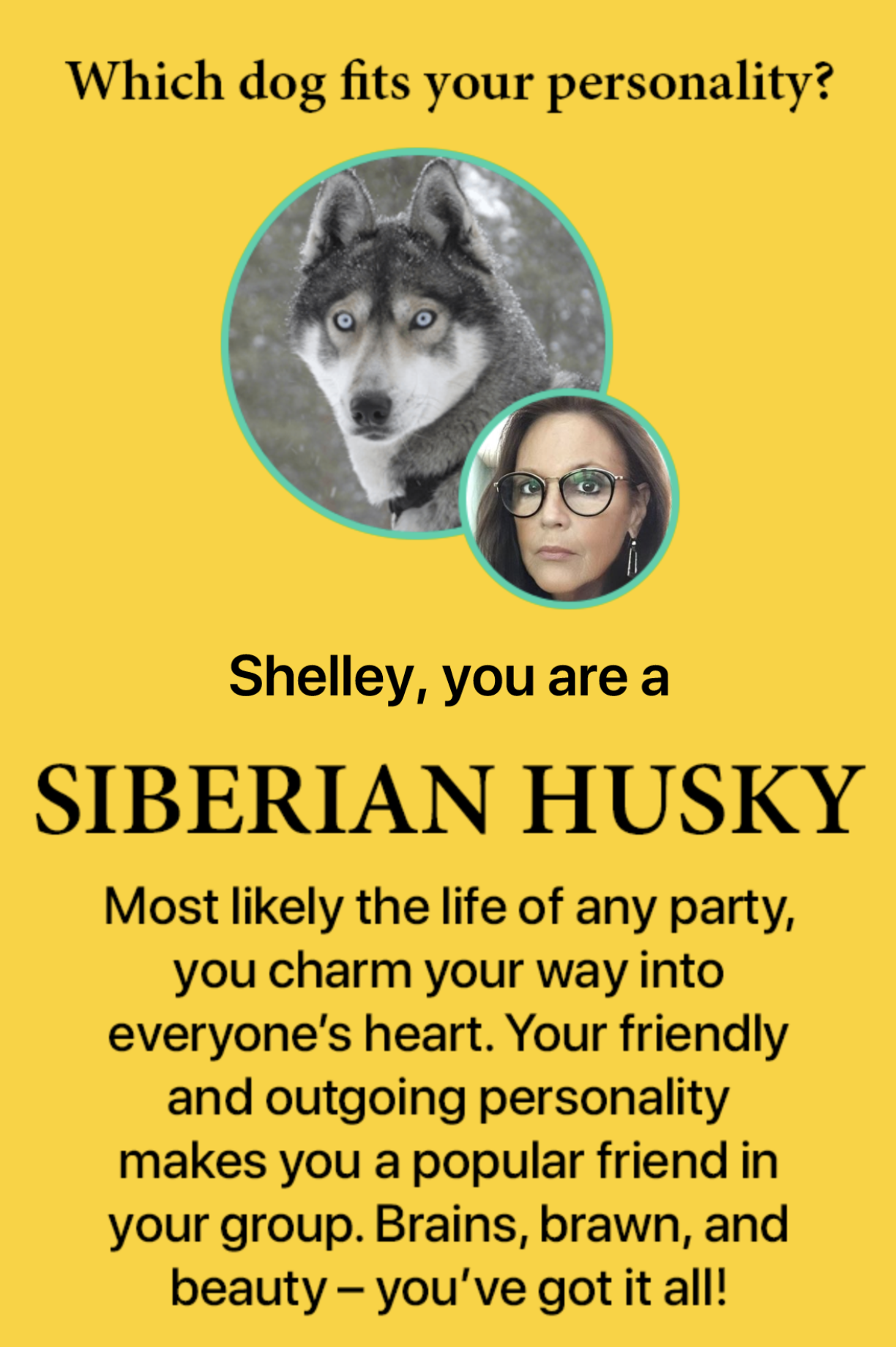 i am a Siberian husky