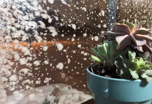 snowy window view