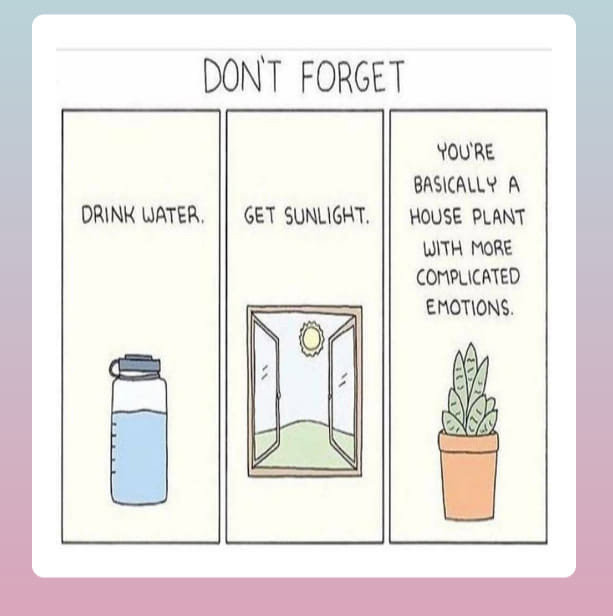 You are a houseplant