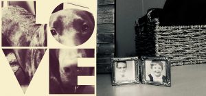 collage from photo apps