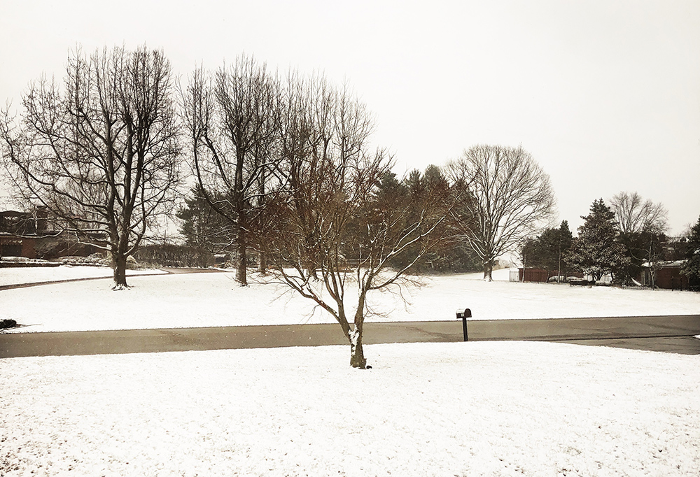 Snow in early March