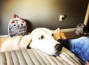Gracie loves Coco