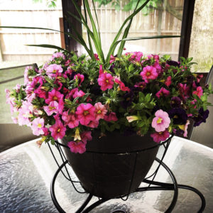 may flowers -- and more rain leftover from april