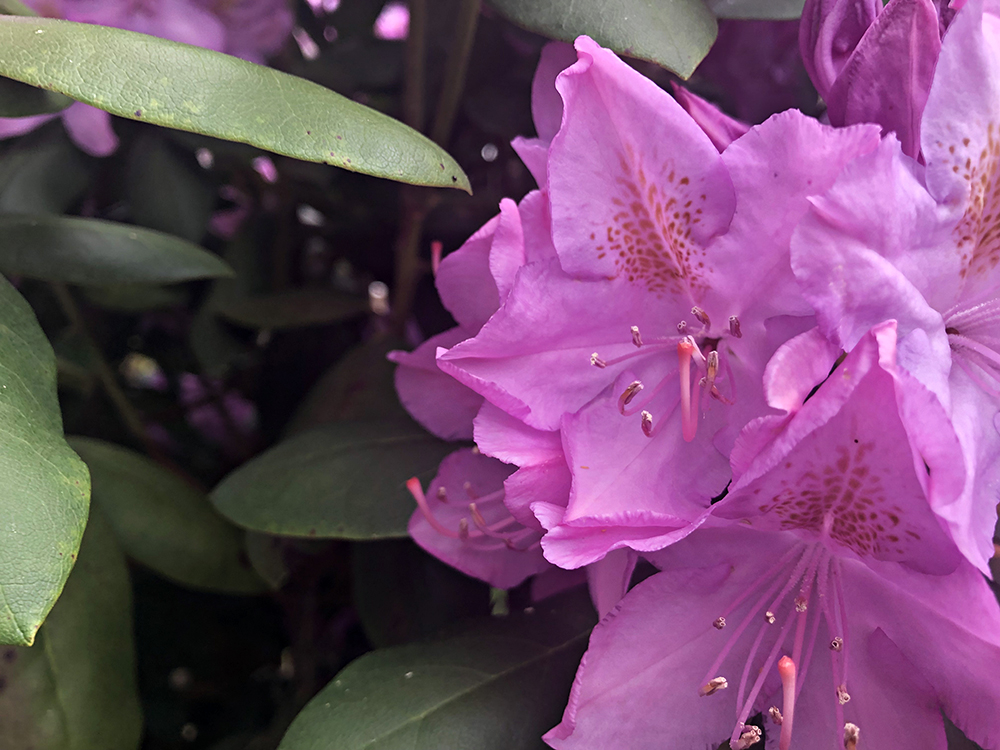 they can sting ya more than once