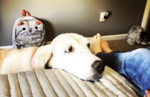 Sweet Gracie