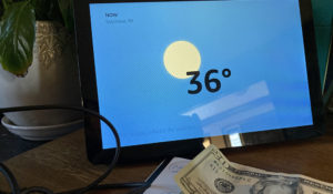OHMYGOSH! It's 36 degrees!
