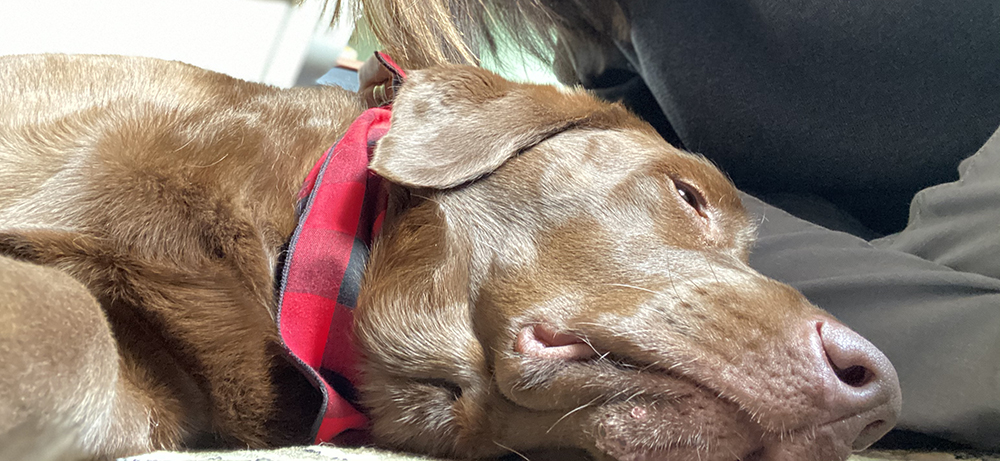 a whole lotta nuthin’