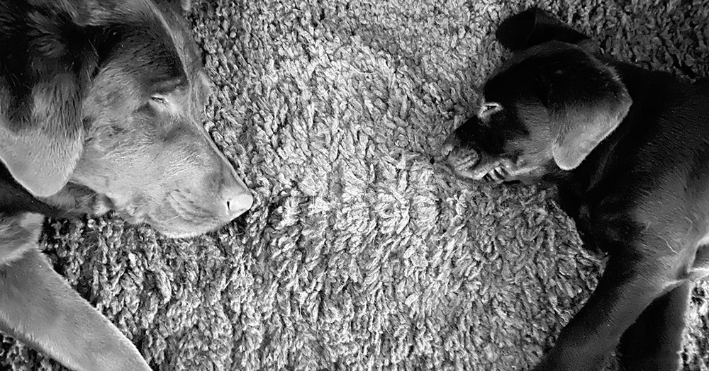 This will last about 2 years. 2 YEARS!