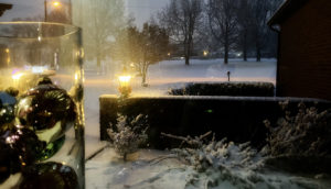 winter