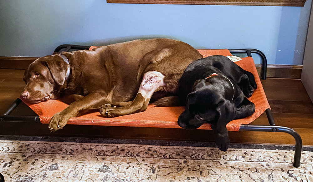 So far, February has been difficult