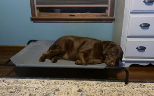 one of these days I'll get sleepy