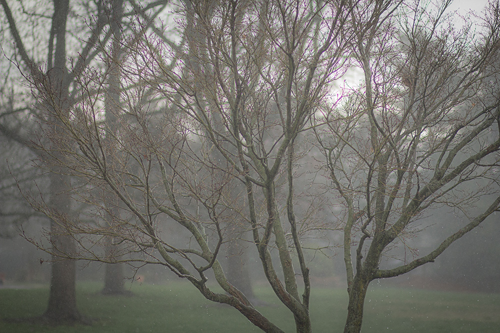 QwD #22 – drum roll please…