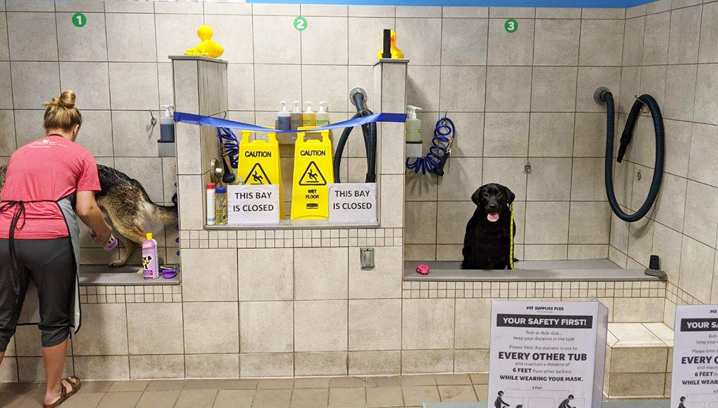 all you have to do is raise your eyebrows!