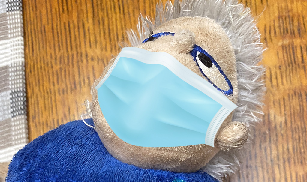 why so much vitriol over masks?