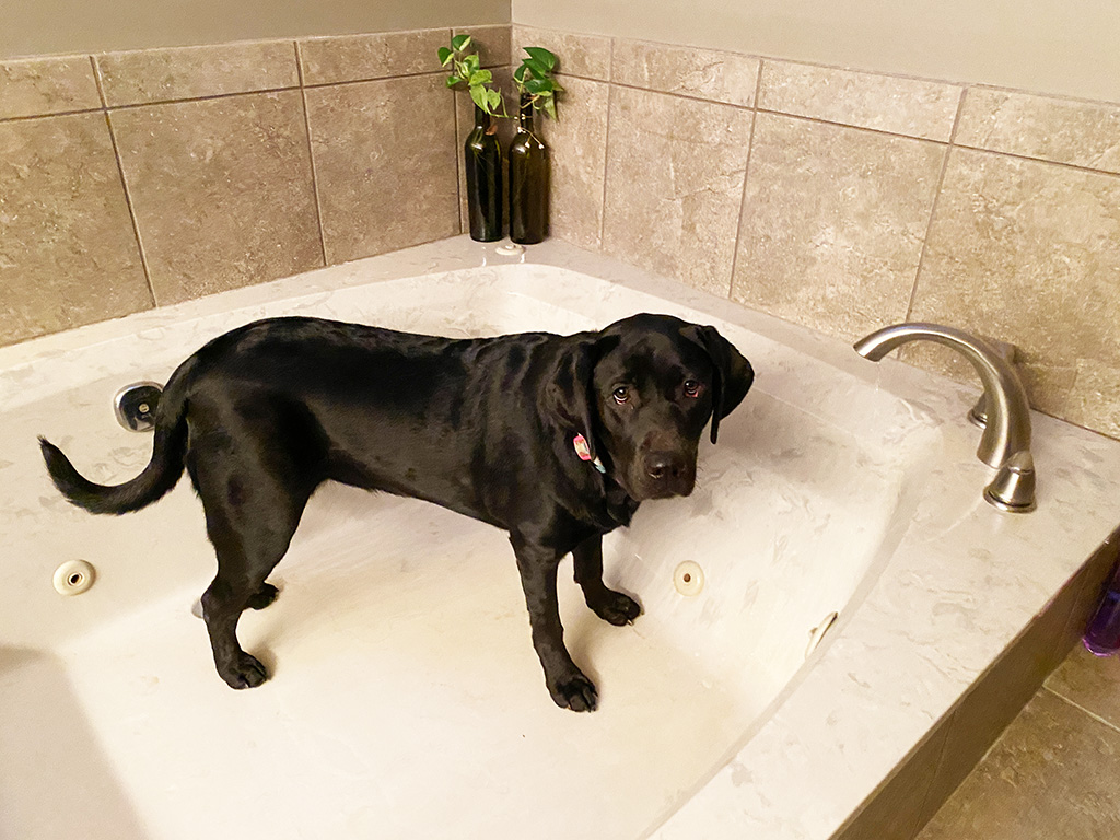 Merida prepares her own bath