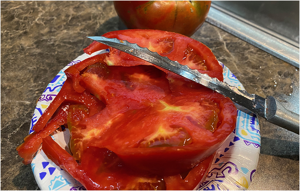 tomato knife on garden tomatoes
