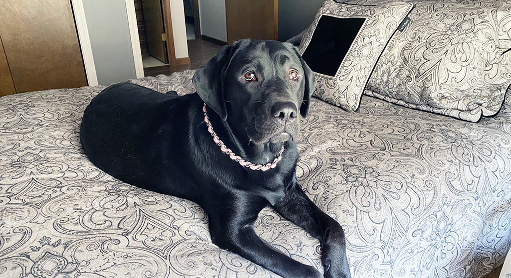 i must’ve had a headache