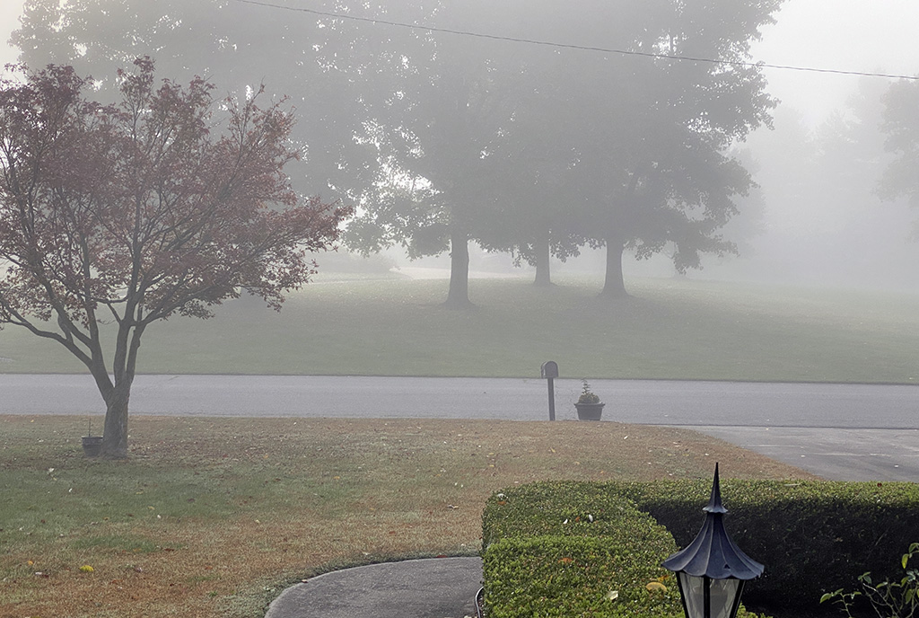 foggy in southern Indiana in fall.