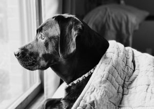 rainy days could leave you needing a lawyer