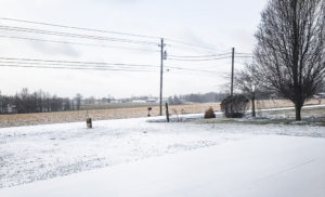 I was dreaming of a white Christmas but the peskies got it instead