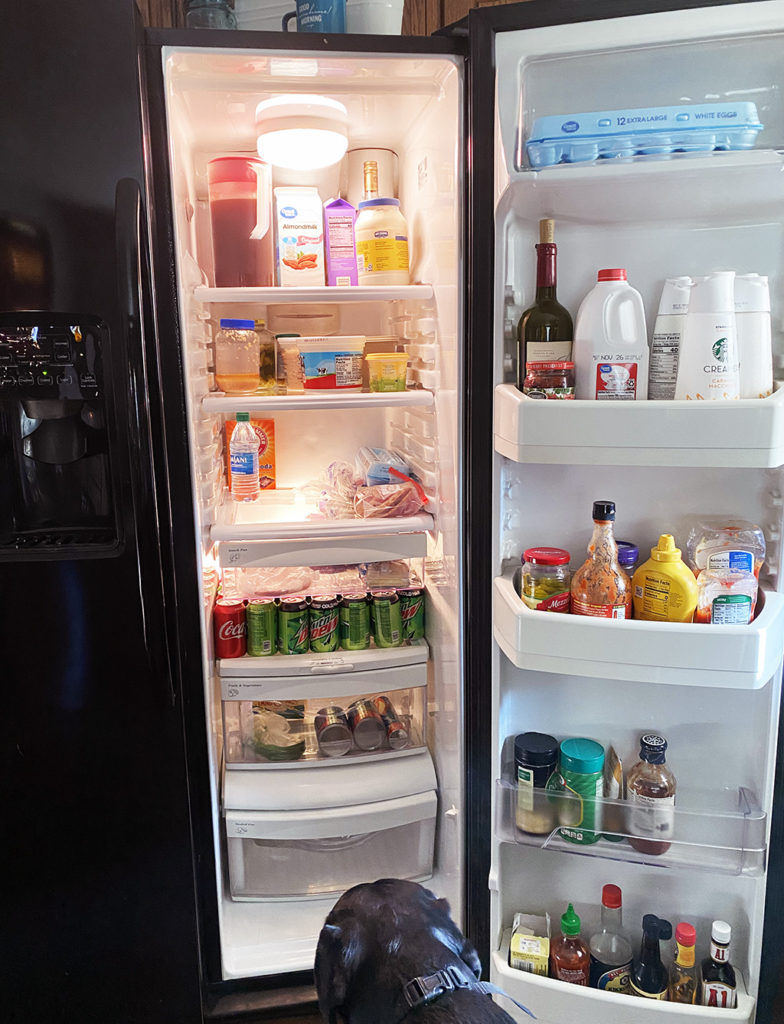 Merida thinks the fridge looks great.