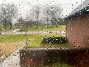 rain day in Seymour