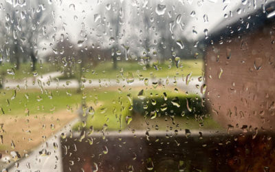 out with the old and in with the new