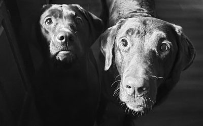 you’re not changing minds by spewing vitriol on social media