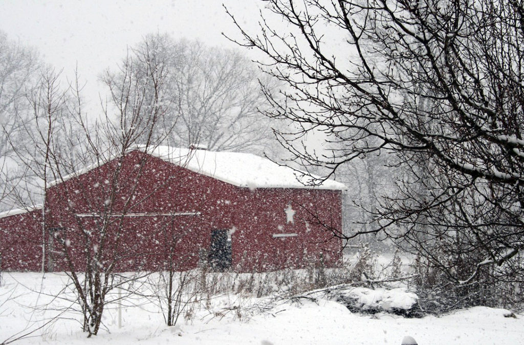 i might just be obsessed with snow