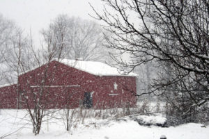 snow that I want